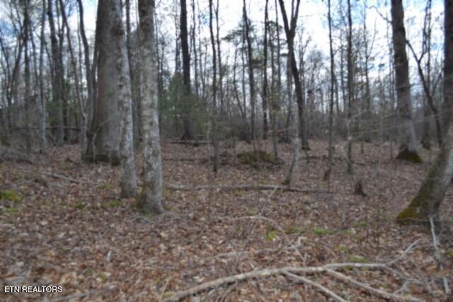 10.79-ac Buffalo Road Oneida, TN 37841 - Photo 25 of 47 DSC_0034