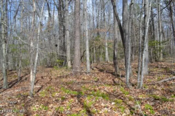 $79,000 | 10.79-ac Buffalo Road, Oneida, TN 37841