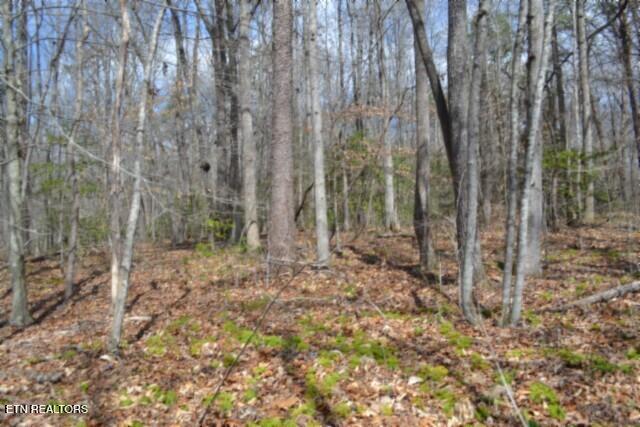 10.79-ac Buffalo Road Oneida, TN 37841 - Photo 26 of 47 DSC_0035