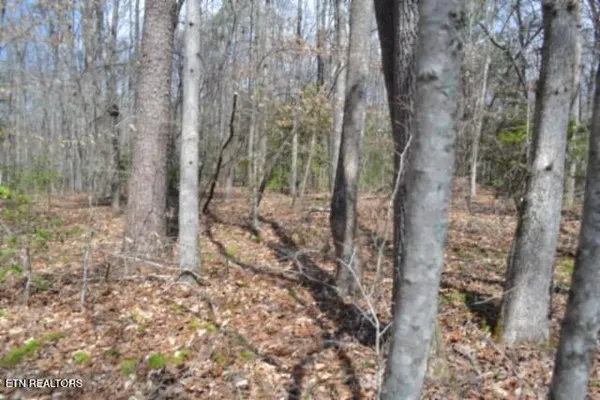 $79,000 | 10.79-ac Buffalo Road, Oneida, TN 37841