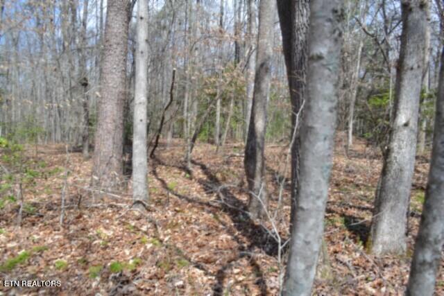 10.79-ac Buffalo Road Oneida, TN 37841 - Photo 27 of 47 DSC_0036