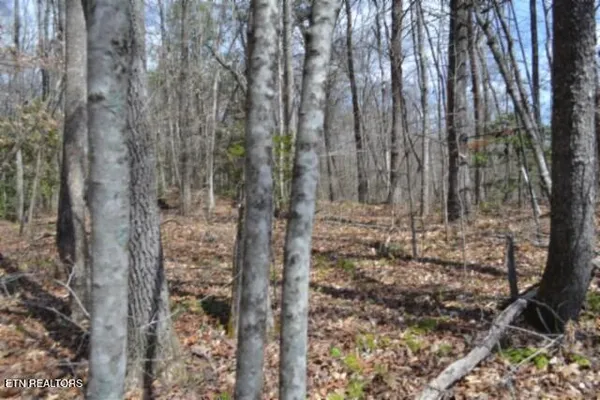 $79,000 | 10.79-ac Buffalo Road, Oneida, TN 37841