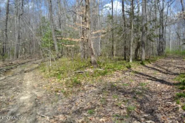 $79,000 | 10.79-ac Buffalo Road, Oneida, TN 37841