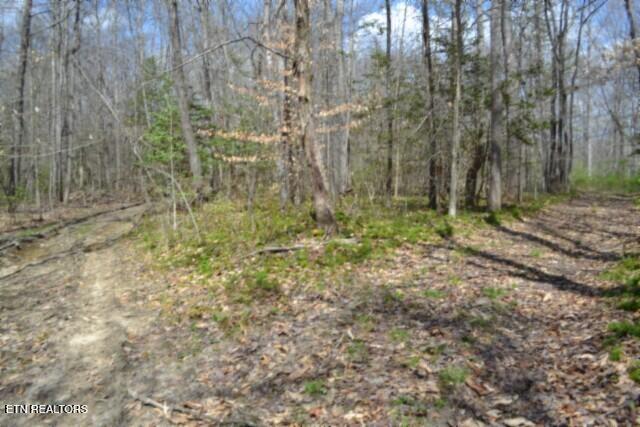 10.79-ac Buffalo Road Oneida, TN 37841 - Photo 29 of 47 DSC_0038