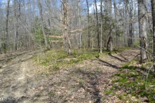 $79,000 | 10.79-ac Buffalo Road, Oneida, TN 37841