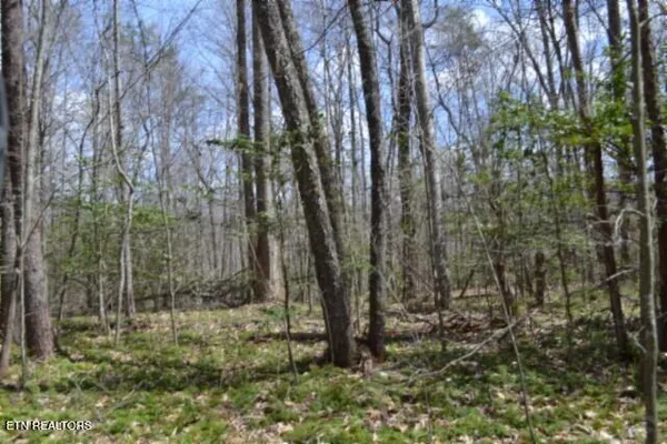 $79,000 | 10.79-ac Buffalo Road, Oneida, TN 37841