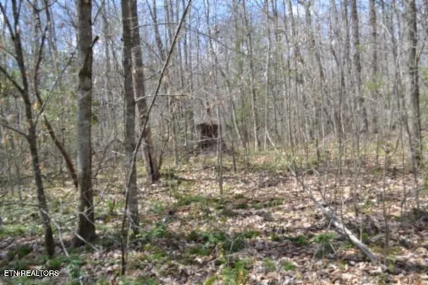 $79,000 | 10.79-ac Buffalo Road, Oneida, TN 37841