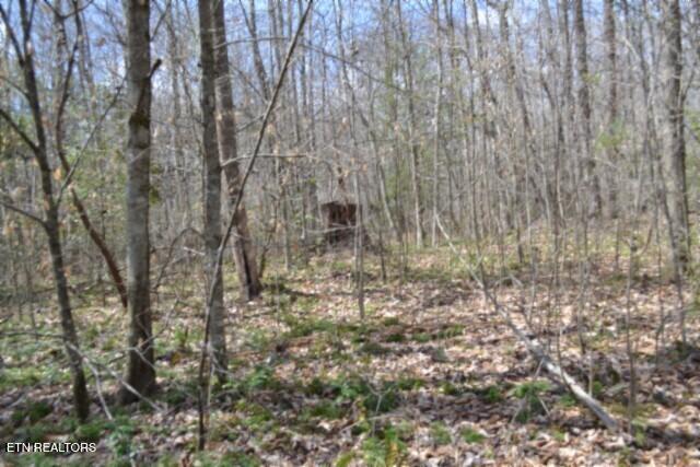 10.79-ac Buffalo Road Oneida, TN 37841 - Photo 32 of 47 DSC_0043