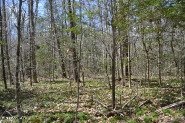 $79,000 | 10.79-ac Buffalo Road, Oneida, TN 37841