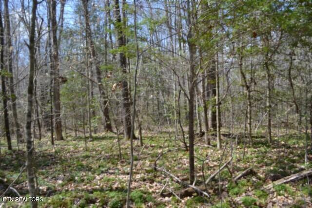 10.79-ac Buffalo Road Oneida, TN 37841 - Photo 33 of 47 DSC_0044