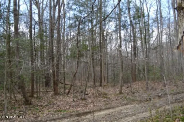 $79,000 | 10.79-ac Buffalo Road, Oneida, TN 37841