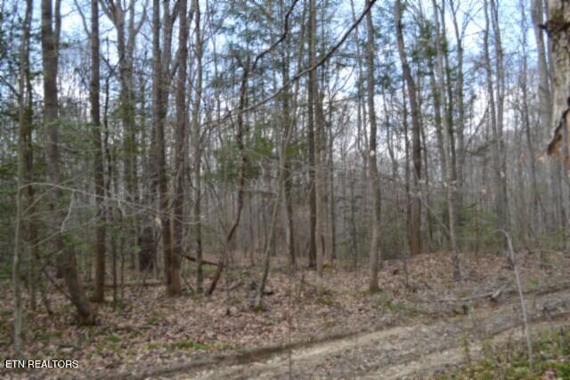 10.79-ac Buffalo Road Oneida, TN 37841 - Photo 34 of 47 DSC_0045