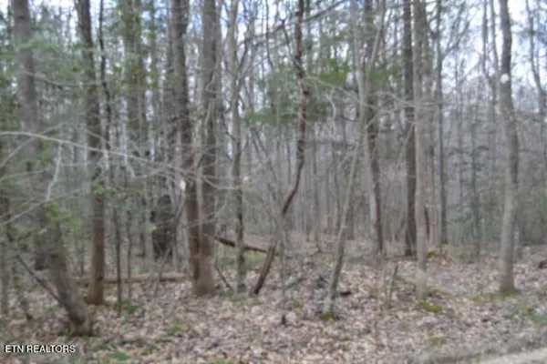 $79,000 | 10.79-ac Buffalo Road, Oneida, TN 37841