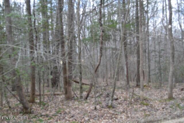 10.79-ac Buffalo Road Oneida, TN 37841 - Photo 35 of 47 DSC_0046