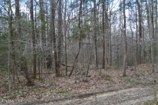 $79,000 | 10.79-ac Buffalo Road, Oneida, TN 37841