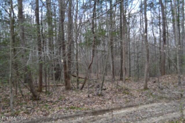 10.79-ac Buffalo Road Oneida, TN 37841 - Photo 36 of 47 DSC_0047