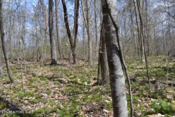 $79,000 | 10.79-ac Buffalo Road, Oneida, TN 37841