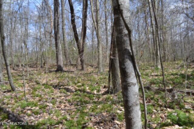 10.79-ac Buffalo Road Oneida, TN 37841 - Photo 37 of 47 DSC_0048