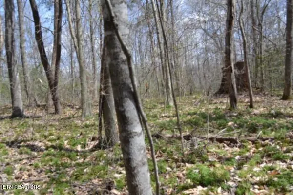 $79,000 | 10.79-ac Buffalo Road, Oneida, TN 37841