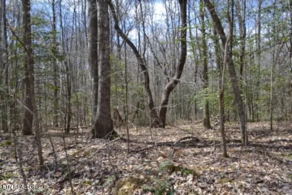 $79,000 | 10.79-ac Buffalo Road, Oneida, TN 37841