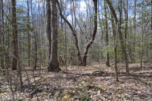 10.79-ac Buffalo Road Oneida, TN 37841 - Photo 39 of 47 DSC_0050