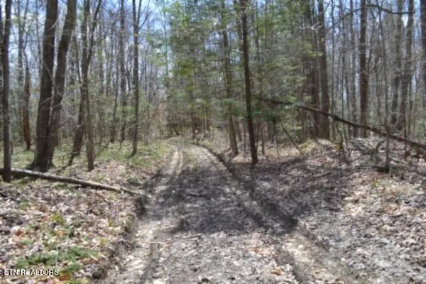 $79,000 | 10.79-ac Buffalo Road, Oneida, TN 37841