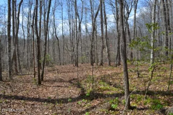 $79,000 | 10.79-ac Buffalo Road, Oneida, TN 37841