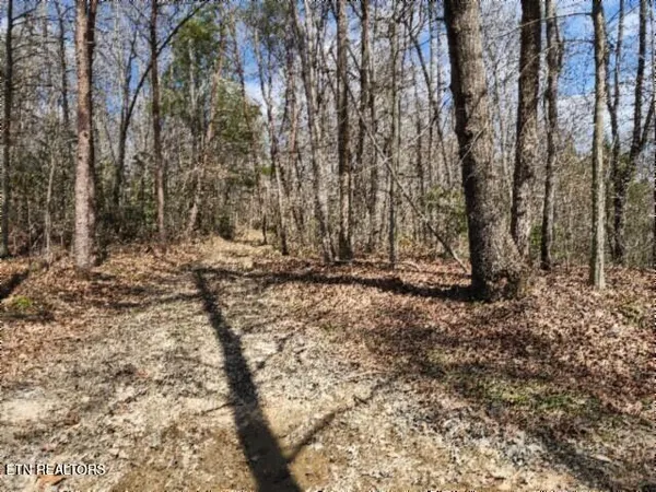 $79,000 | 10.79-ac Buffalo Road, Oneida, TN 37841