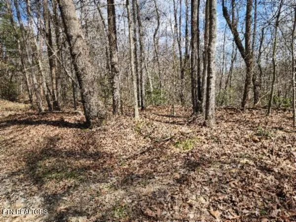 $79,000 | 10.79-ac Buffalo Road, Oneida, TN 37841