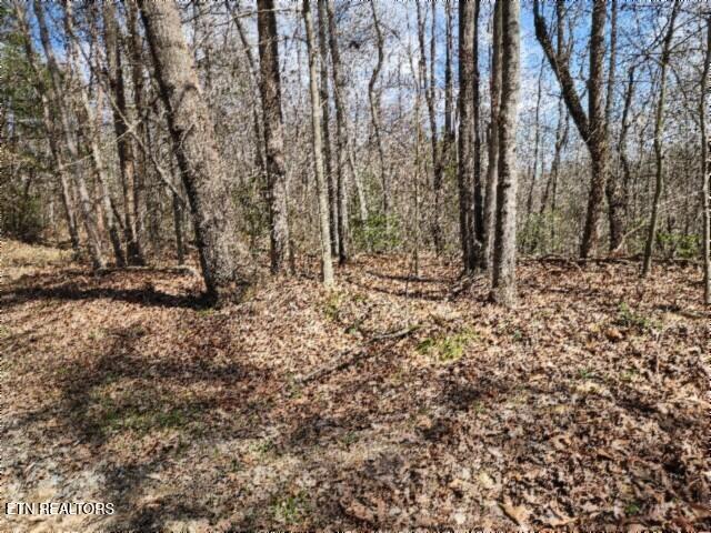 10.79-ac Buffalo Road Oneida, TN 37841 - Photo 42 of 47 20260331_131239