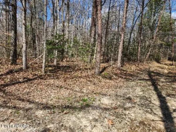 $79,000 | 10.79-ac Buffalo Road, Oneida, TN 37841