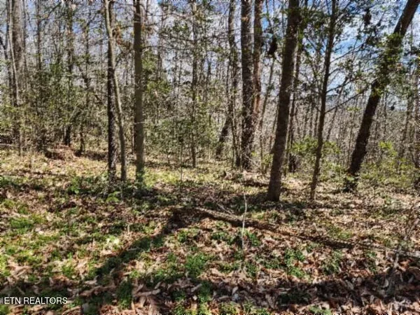 $79,000 | 10.79-ac Buffalo Road, Oneida, TN 37841