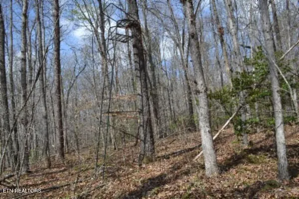 $79,000 | 10.79-ac Buffalo Road, Oneida, TN 37841