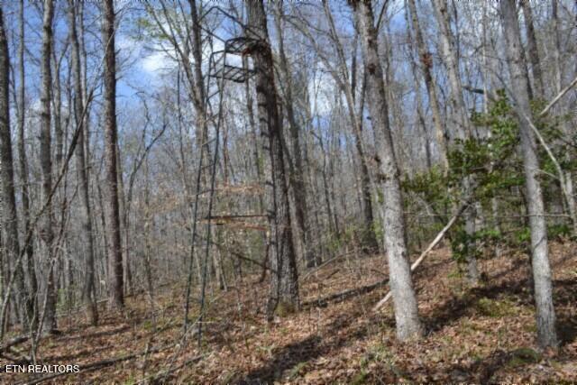 10.79-ac Buffalo Road Oneida, TN 37841 - Photo 8 of 47 DEER STAND