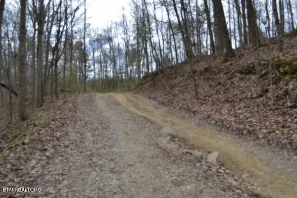 $79,000 | 10.79-ac Buffalo Road, Oneida, TN 37841