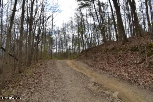 $79,000 | 10.79-ac Buffalo Road, Oneida, TN 37841