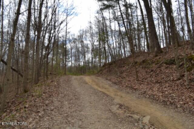 10.79-ac Buffalo Road Oneida, TN 37841 - Photo 10 of 47 DSC_0005