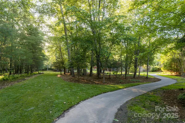 a view of a yard with large trees