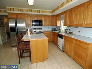 2 Indiana Avenue Sinking Spring, PA 19608 - Photo 2 of 6