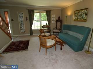 2 Indiana Avenue Sinking Spring, PA 19608 - Photo 4 of 6
