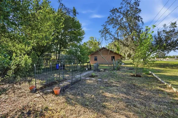 a view of backyard with tree