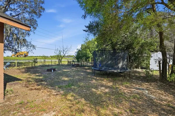 a view of a yard with a tree