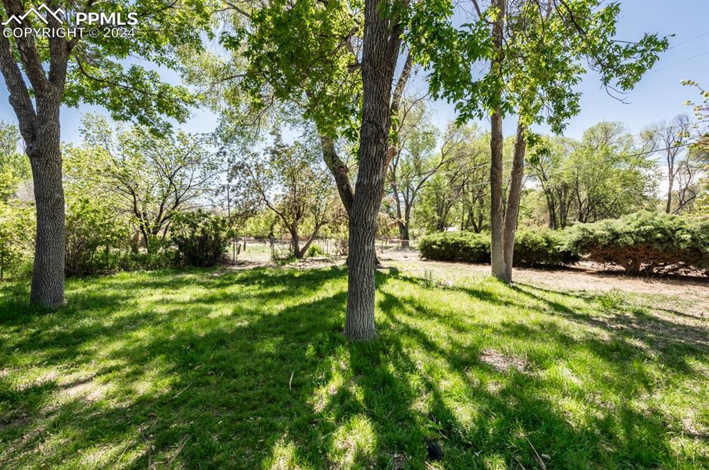 2233 Daniel Road Pueblo, CO 81006 - Photo 4 of 48 a view of outdoor space with deck and trees