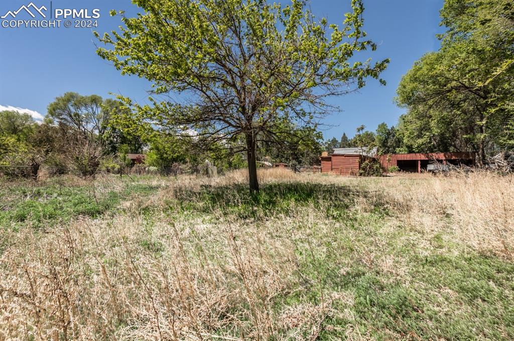 2233 Daniel Road Pueblo, CO 81006 - Photo 47 of 48 a view of backyard with large trees