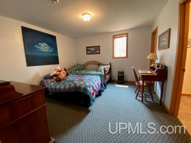 60 Tipperary Road Gladstone, MI 49837 - Photo 19 of 25 Gallery Image 19