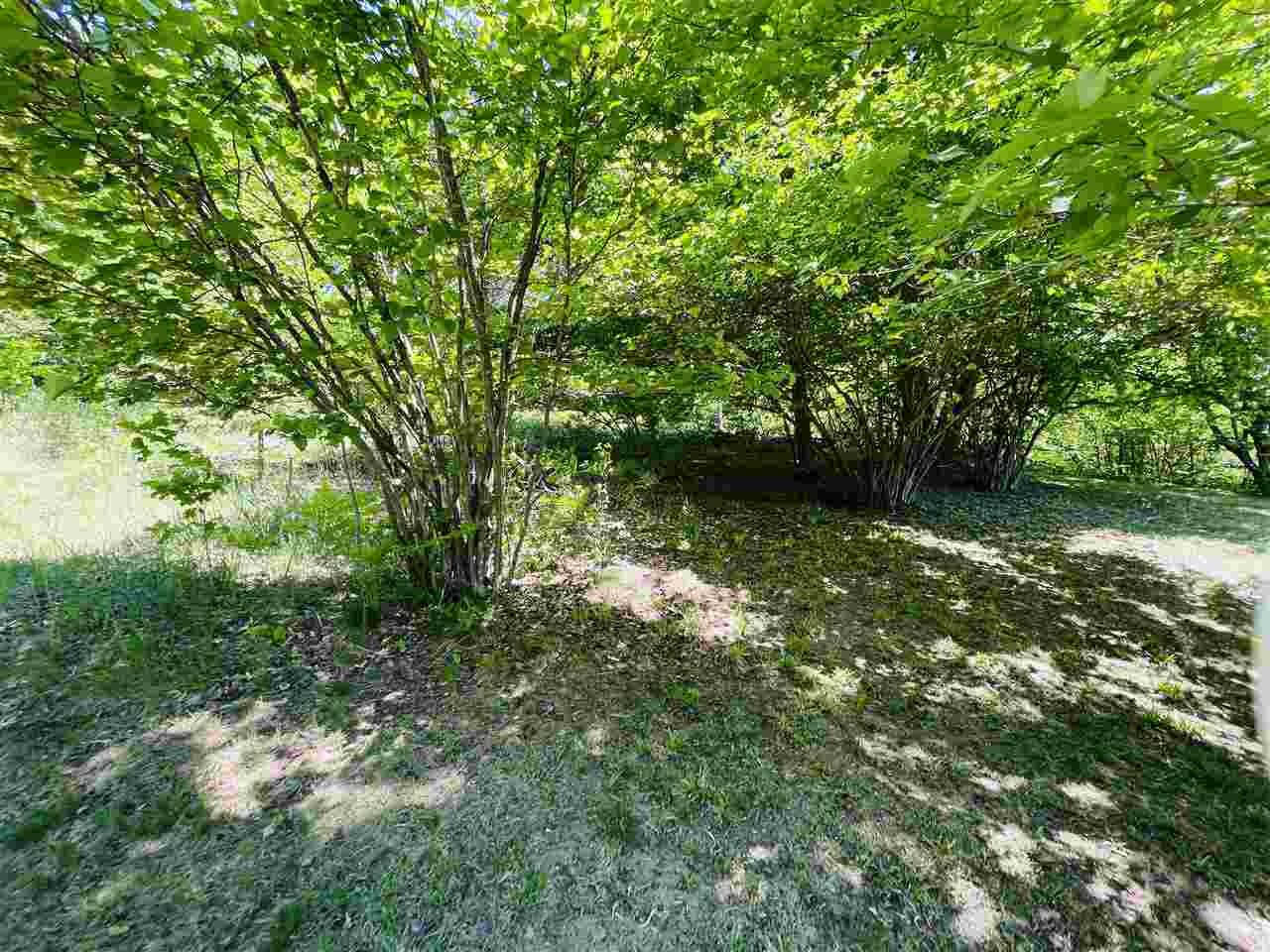3187 North 39 Road Manton, MI 49663 - Photo 59 of 80 1888342-58.JPG