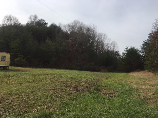 320 Winburn Woods Road Irvine, KY 40336 - Photo 3 of 10 Photo 3
