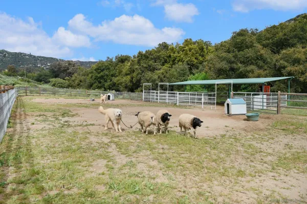 $3,500,000 | 17287 Oak Hollow Road, Ramona, CA 92065