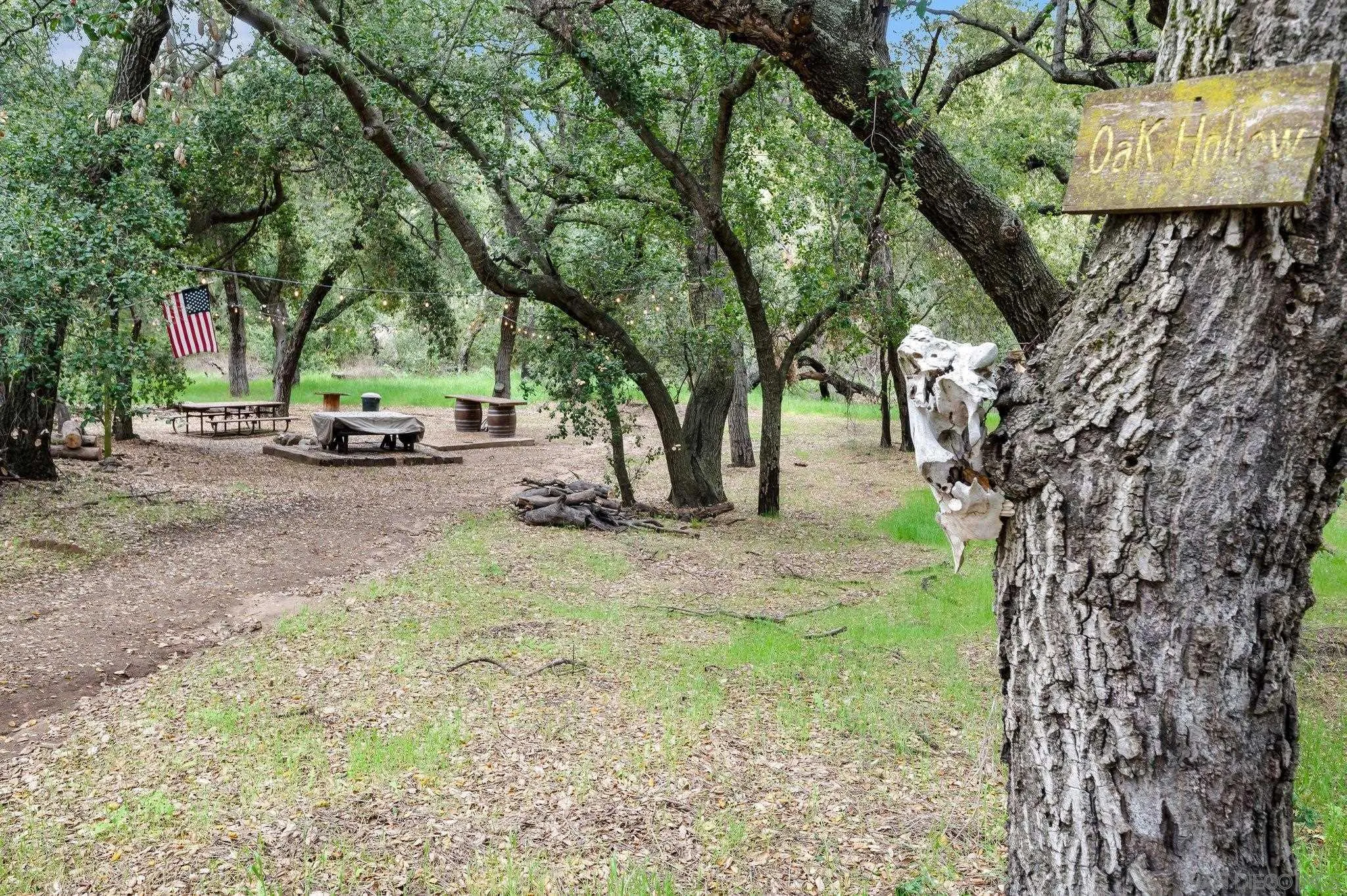17287 Oak Hollow Road Ramona, CA 92065 - Photo 57 of 71 a view of a backyard with large trees