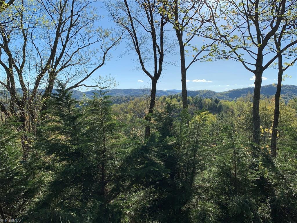310 Doe Run Purlear, NC 28665 - Photo 15 of 15